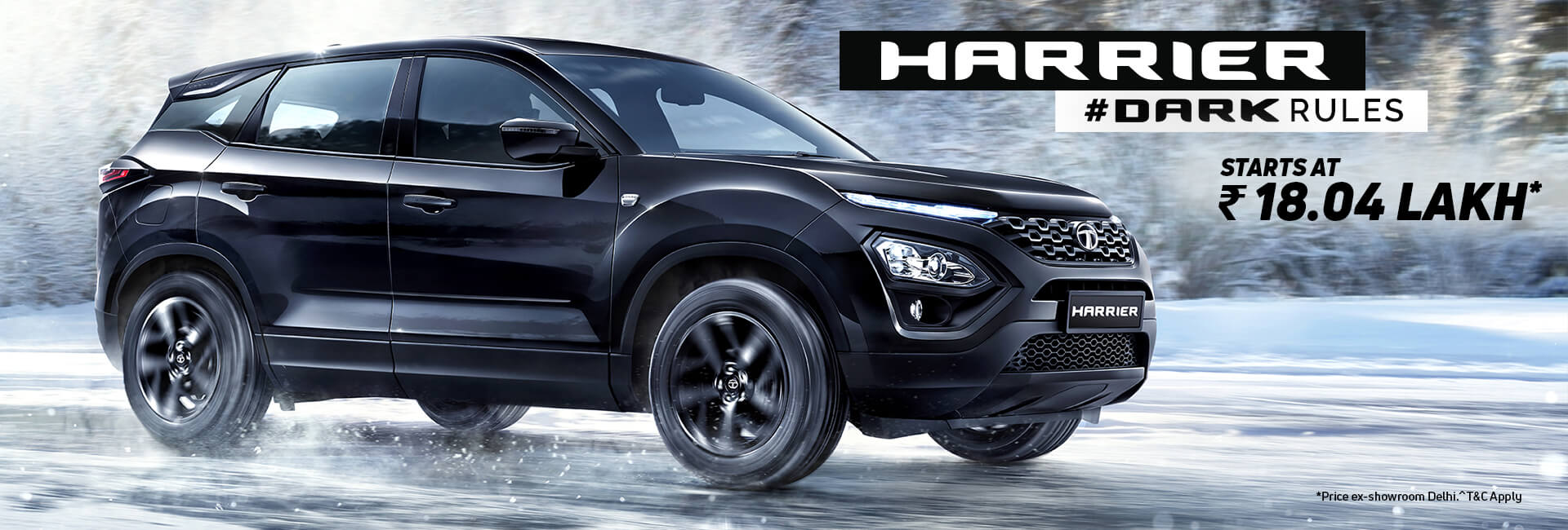 harrier-dark-new-02
